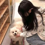 小兵大冲锋百度官方下载